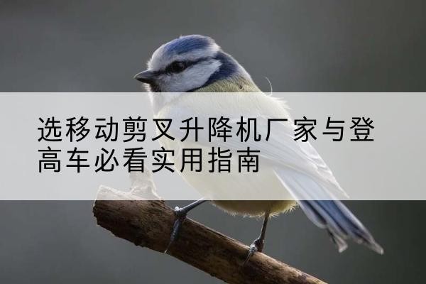 辛集电动升降机厂家-选移动剪叉升降机厂家与登高车必看实用指南