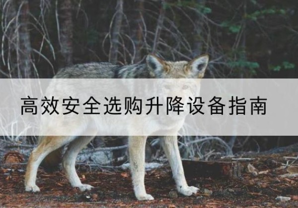 辛集升降货梯厂家推荐-*安全选购升降设备指南